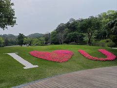 -云溪植物园