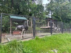 -吉隆坡雀鸟公园