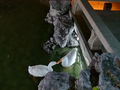 -祝家花園(伯渎港店)