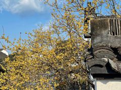 -丝绸小镇荻港古村