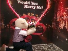 -济州岛泰迪熊博物馆