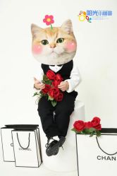 -蜜阁孕味亲子摄影(太奥广场店)