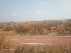 -御道口草原森林风景区