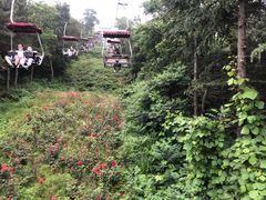 -青岛中山公园-索道售票处