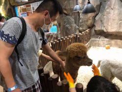 -宝燕乐园(闵行旗舰店)