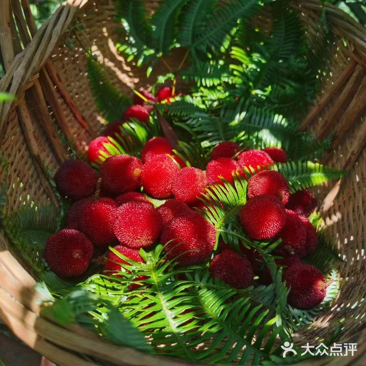 大自然馈赠了我们两份至臻美味— 杨梅和黄桃。杨梅