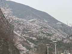-妙峰山风景名胜区