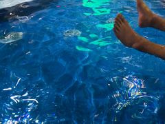 -水晶之星洗浴温泉汗蒸