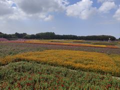 -江苏三台山国家森林公园