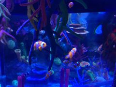 -沈阳海洋探索中心