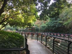 -月亮湾公园