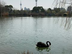 -南通濠河风景名胜区