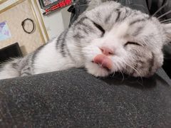 -子乐宠物医院