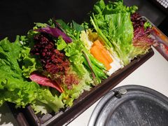 -本家韩国烤肉(青岛万象城店)