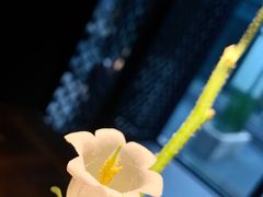 -桂语山房(满觉陇店)