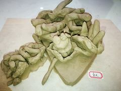 -蕃茄田艺术•美术绘画 •硬笔书法(滨江海威领界店)