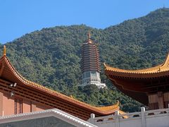 -深圳仙湖植物园
