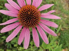 -赵美丽重庆火锅(西安直营总店)