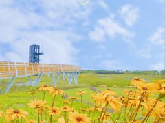 -春花秋色城市公园