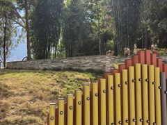 -广州市流溪河国家森林公园