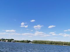 -大兴滨河森林公园