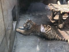 -西安秦岭野生动物园