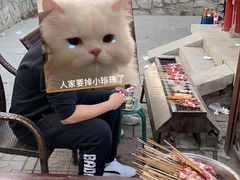 -尚庄度假村·庭台树下·户外烧烤·团建CS·轰趴营地(上庄水库店)
