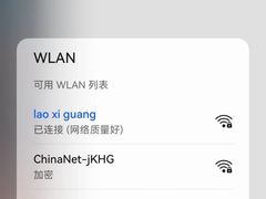 -老西关濑粉(文明路店)