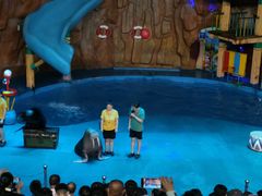 -烟台海昌鲸鲨海洋公园