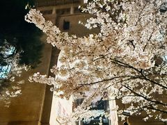 -武汉大学-樱园