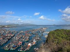 -蓝湾碧波·老字号·疍家非遗海上餐厅