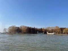 -溱湖国家湿地公园