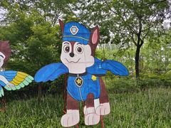 -黄海国家森林公园