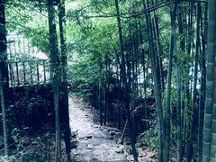 -九龙潭景区