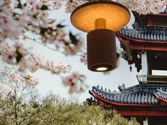 -蜜桃餐厅·伴山(绿宝广场店)