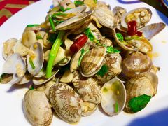 -杨氏青龙虾·羊蝎子(托乐嘉店)