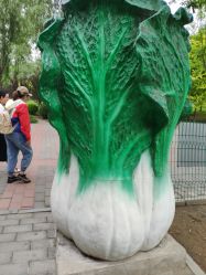 -大望京儿童游乐场