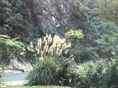 -太鲁阁公园