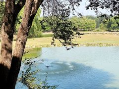 -北京麋鹿生态实验中心