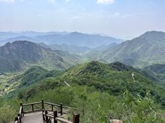 -大岭沟猕猴桃谷风景区