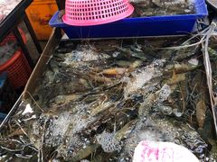 -兰坡海鲜市场
