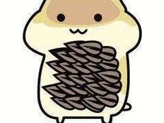 -心怡东北烤冷面(赤峰路店)