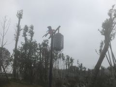 -枫香湖儿童公园