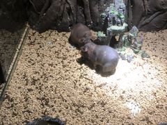 -顺德南宏海立方海洋公园
