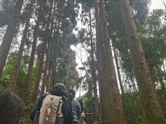 -峨眉山报国寺
