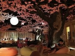 -蓝鲸湾汤泉(包河店)