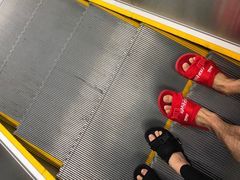 -海沧湾公园