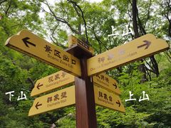 -老象峰
