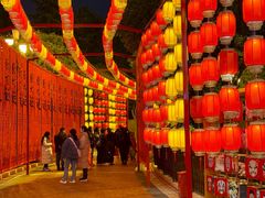 -国色天乡三期陆地乐园