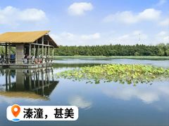 -溱湖国家湿地公园